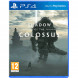 Shadow of the Colossus. В тени колосса [PS4, русская версия] в Таганроге