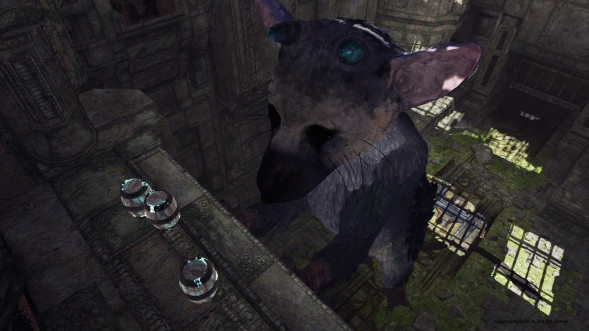 The Last Guardian: Последний хранитель [PS4, русские субтитры] в Таганроге