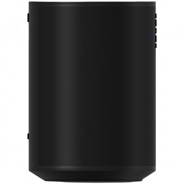 Умная колонка Sonos Era 100, черный в Таганроге
