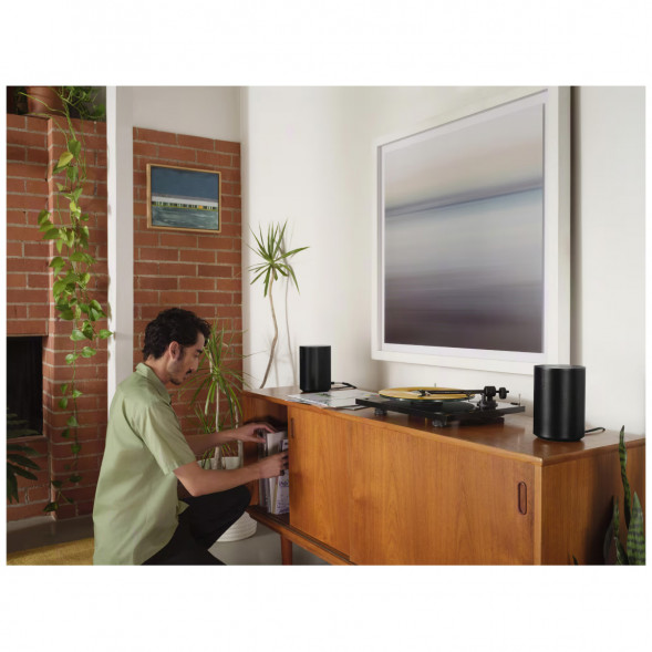 Умная колонка Sonos Era 100, черный в Таганроге