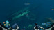 Игра Subnautica: Below Zero [PS5, русские субтитры] в Таганроге