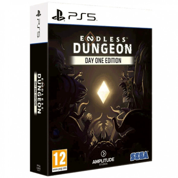 Игра Endless Dungeon. Day One Edition [PS5, английская версия] в Таганроге