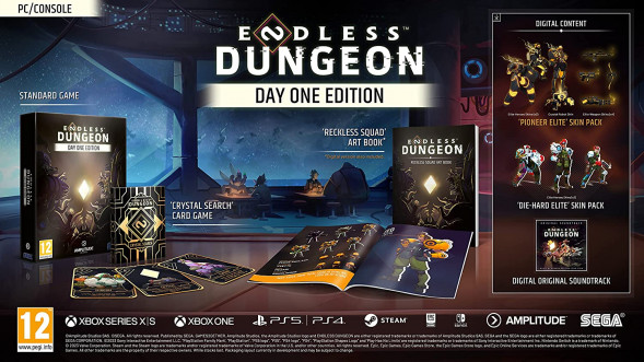 Игра Endless Dungeon. Day One Edition [PS5, английская версия] в Таганроге