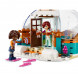 Конструктор LEGO Friends 41760 Праздничное приключение в иглу в Таганроге