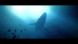 Игра Under The Waves [PS4, русские субтитры] в Таганроге