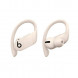 Беспроводные наушники Beats Powerbeats Pro, Ivory (MY5D2ZM/A) в Таганроге