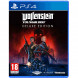 Игра Wolfenstein Youngblood Deluxe Edition [PS4, русская версия] в Таганроге