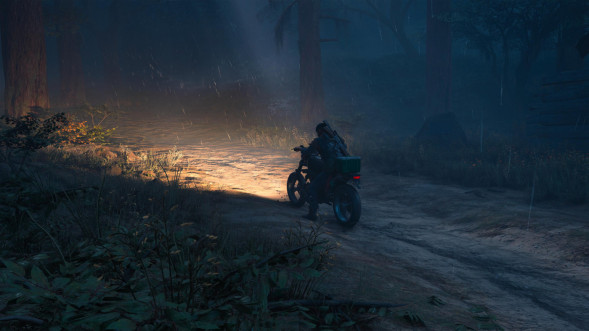 Игра Жизнь После (Days Gone) [PS4, русская версия] в Таганроге