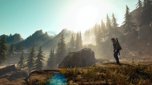 Игра Жизнь После (Days Gone) [PS4, русская версия] в Таганроге