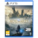 Игра Hogwarts Legacy. Exclusive DLC Astronomers Hat [PS5, русские субтитры] в Таганроге
