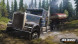 Игра Spintires: MudRunner American Wilds [Nintendo Switch, русские субтитры] в Таганроге